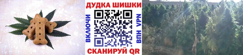 Еда ТГК марихуана  что такое наркотик  Котовск 